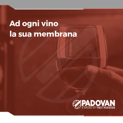 vino membrana